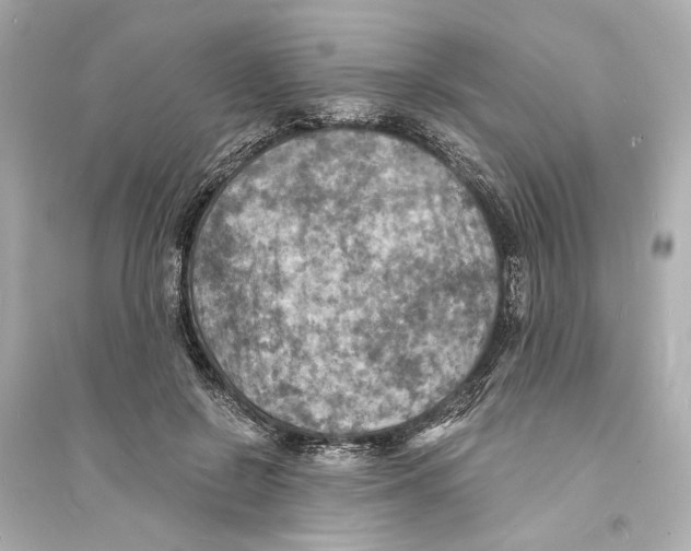 X0000093730550200711131040