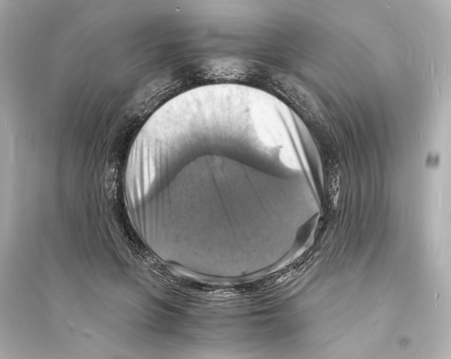 X0000093730551200711131040