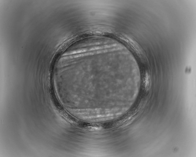 X0000093730552200711131041