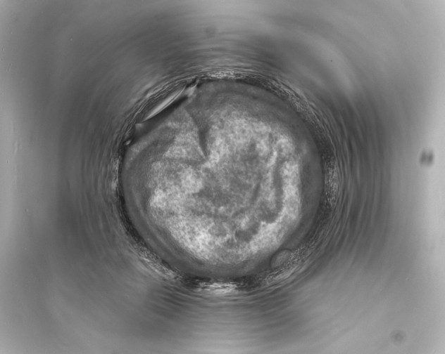 X0000093730554200711131041