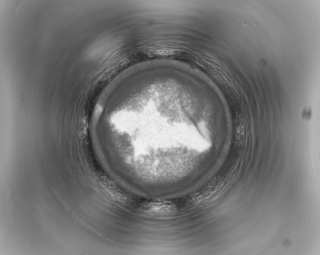 X0000093730555200711131041