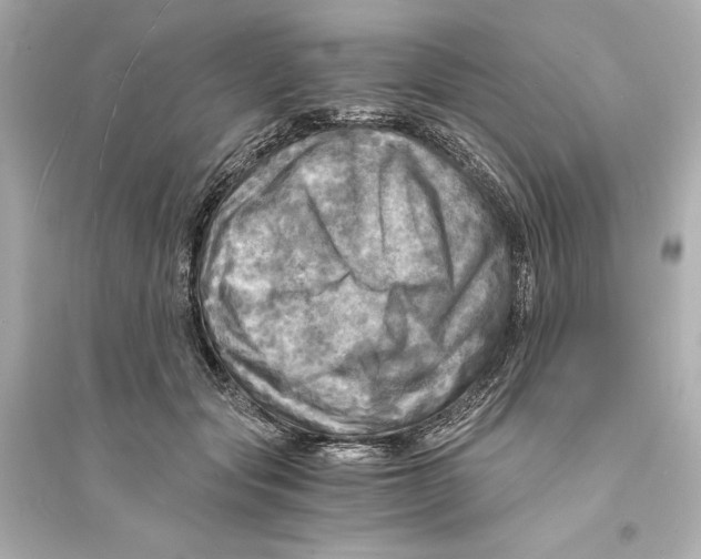 X0000093730557200711131041
