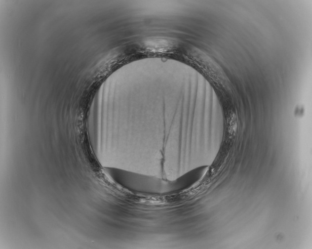 X0000093730559200711131041