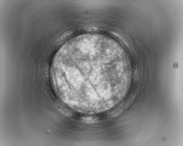 X0000093730561200711131041