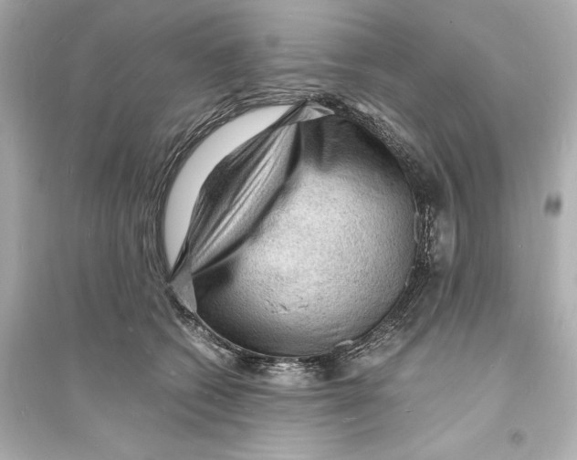 X0000093730562200711131041
