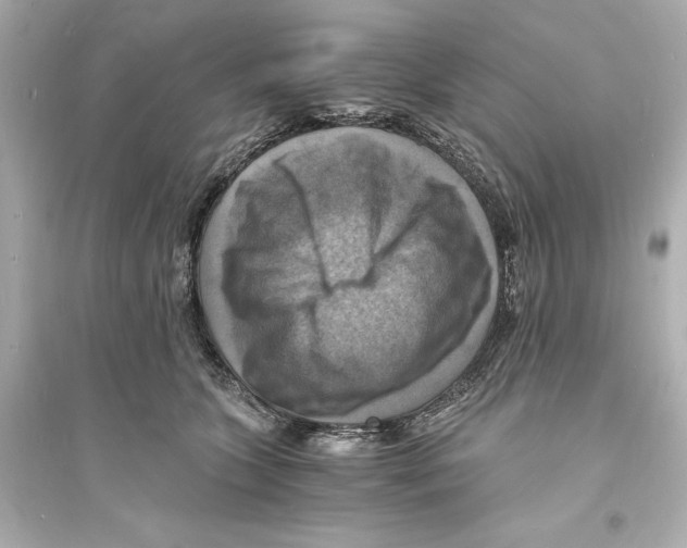 X0000093730563200711131041