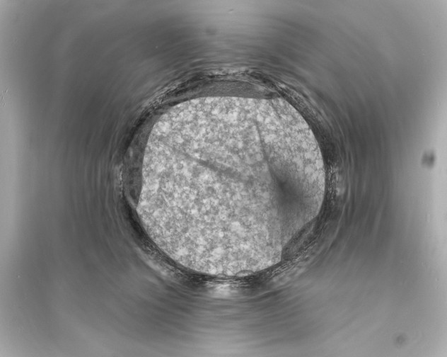 X0000093730564200711131041