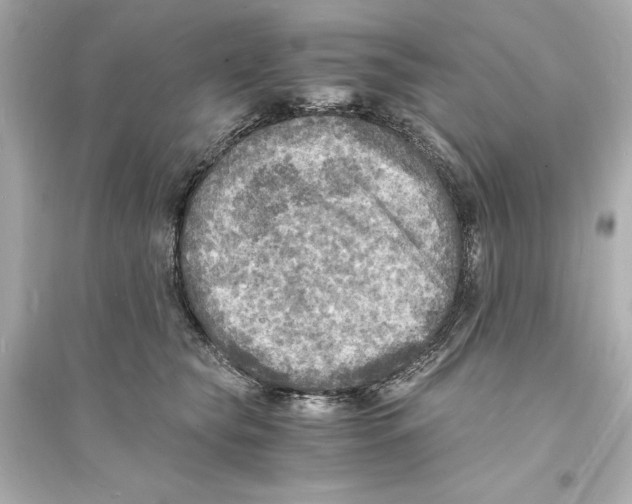 X0000093730565200711131041