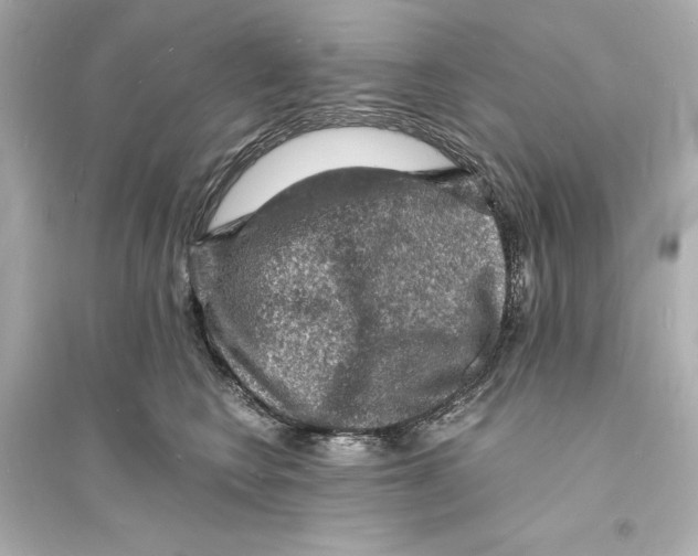 X0000093730566200711131041