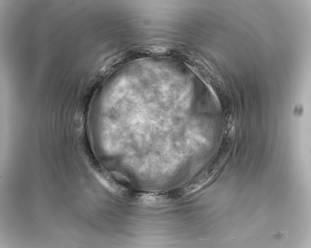 X0000093730568200711131041