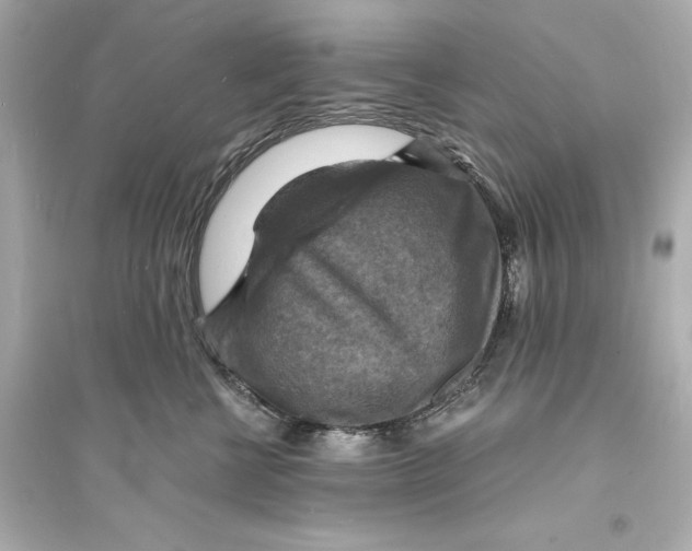 X0000093730570200711131041