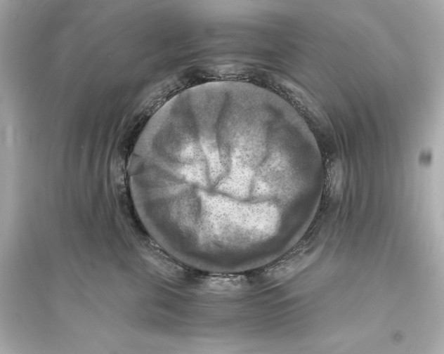 X0000093730571200711131041