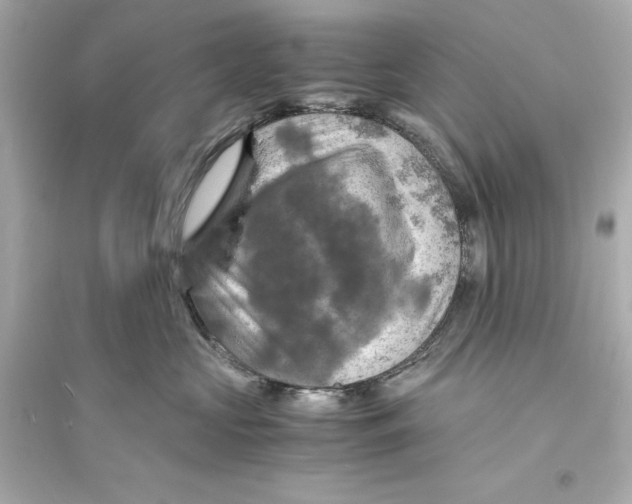 X0000093730573200711131041