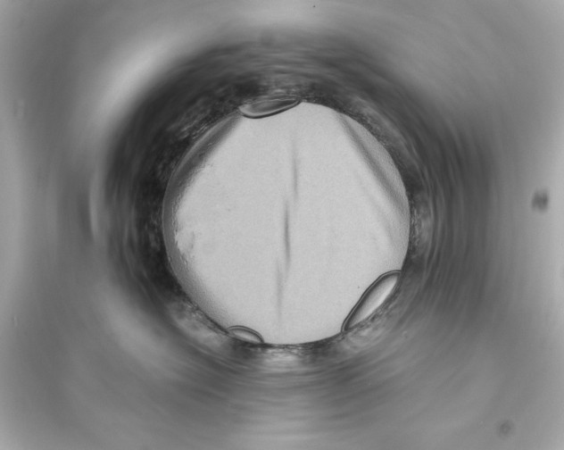 X0000093730574200711131041