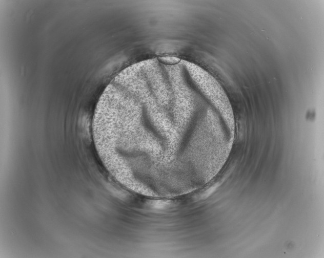 X0000093730575200711131041