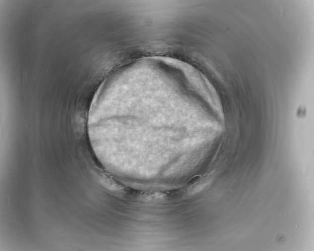 X0000093730576200711131041