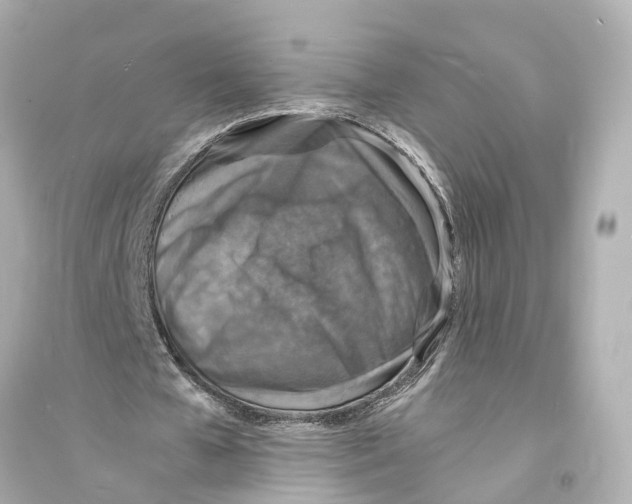 X0000093730577200711131040