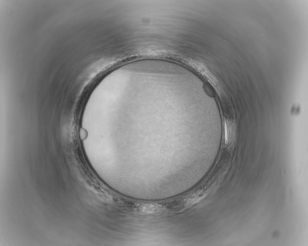 X0000093730579200711131040