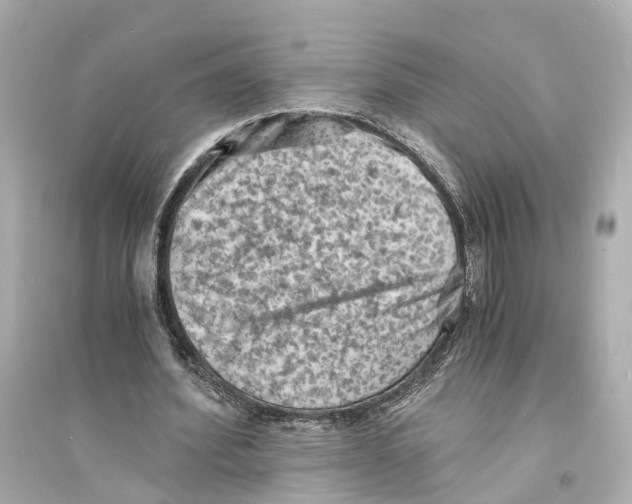 X0000093730580200711131040