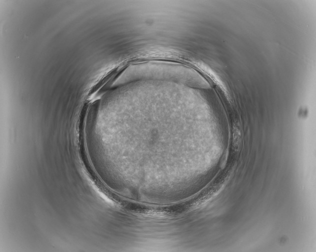 X0000093730581200711131040