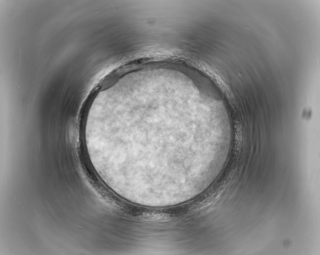 X0000093730582200711131040