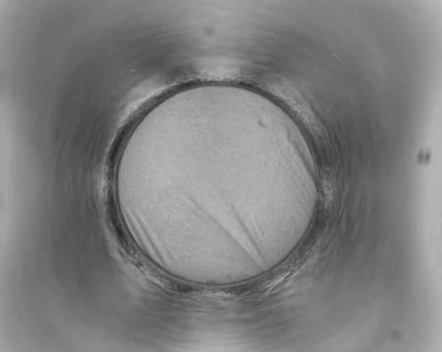 X0000093730583200711131040