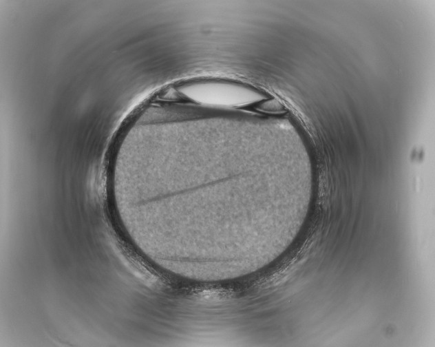 X0000093730584200711131040