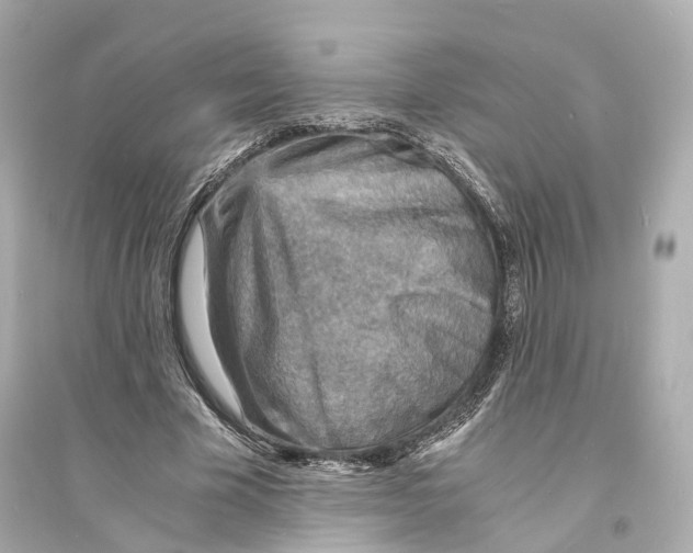 X0000093730585200711131040