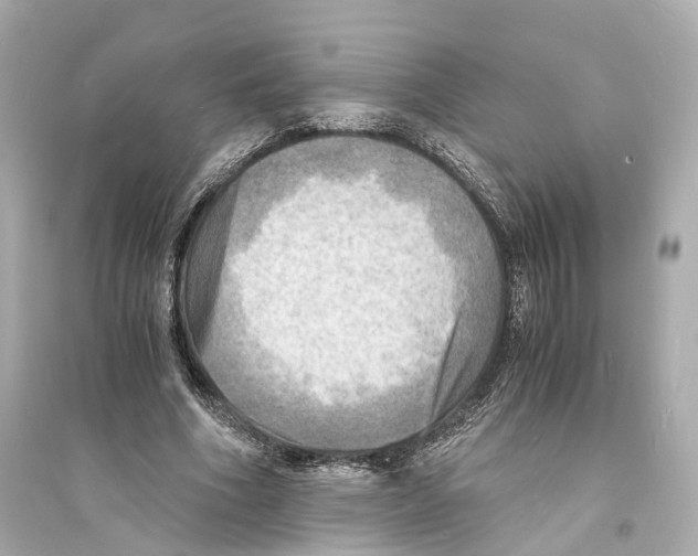 X0000093730586200711131040