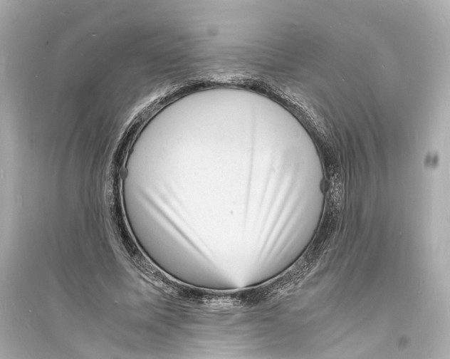 X0000093730587200711131040