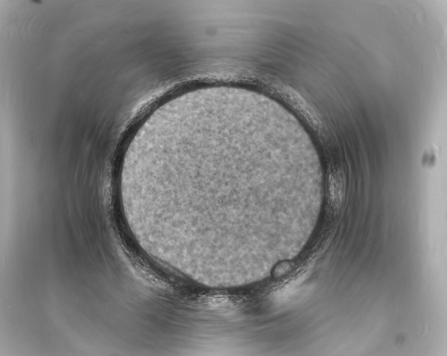 X0000093730588200711131040
