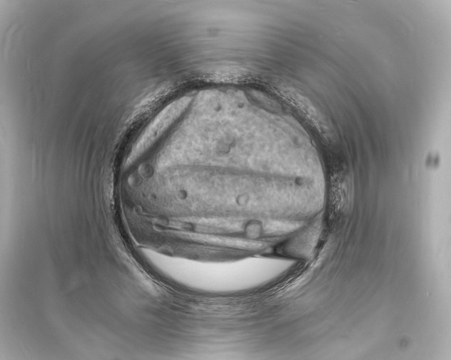 X0000093730589200711131040