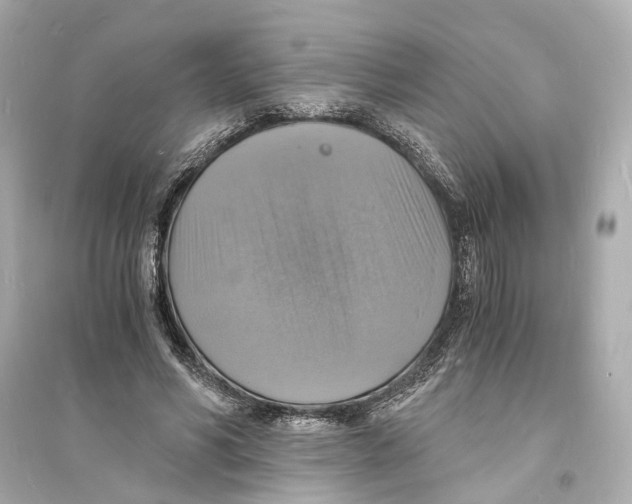 X0000093730590200711131040