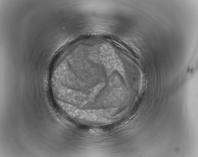 X0000093730591200711131040