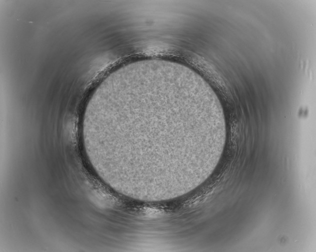 X0000093730592200711131040