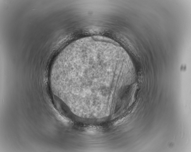 X0000093730593200711131040