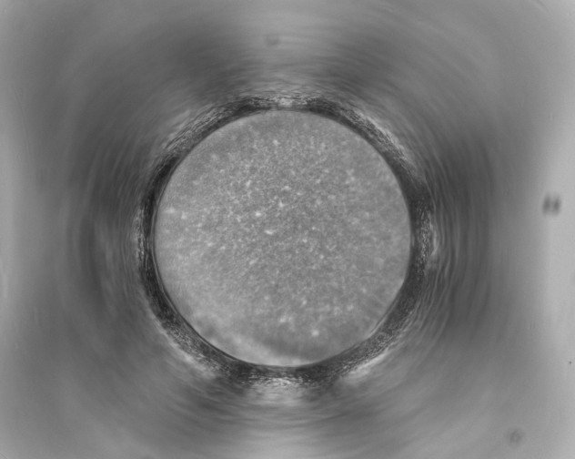 X0000093730594200711131040