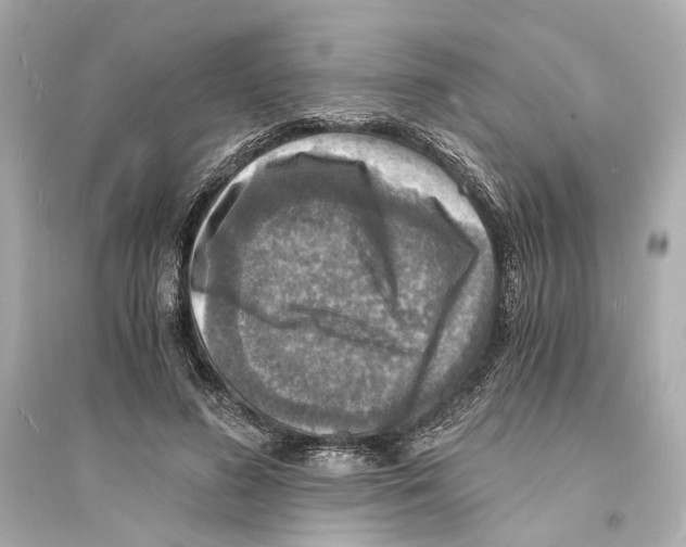 X0000093730596200711131040