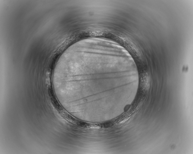 X0000093730598200711131040
