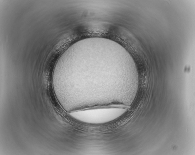 X0000093730599200711131040