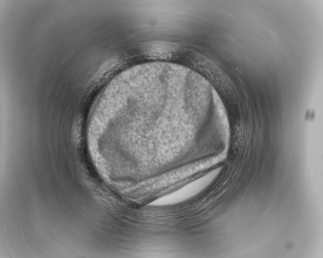 X0000093730600200711131040