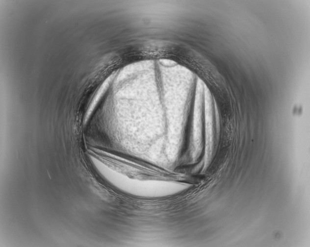 X0000093730601200711131040