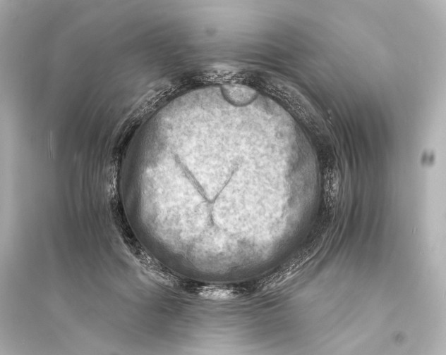 X0000093730602200711131040