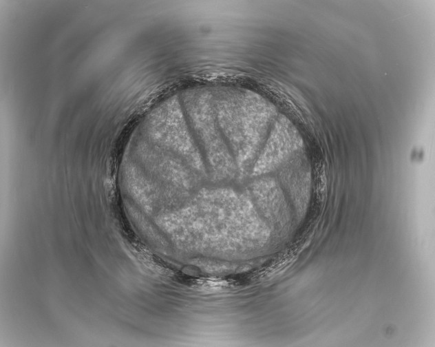 X0000093730607200711131039
