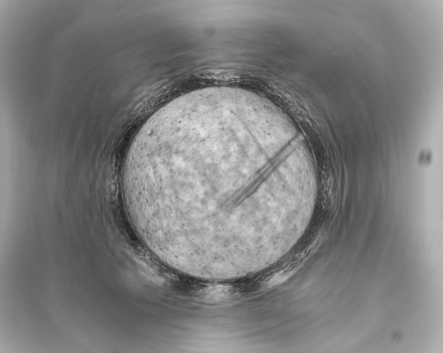X0000093730609200711131039