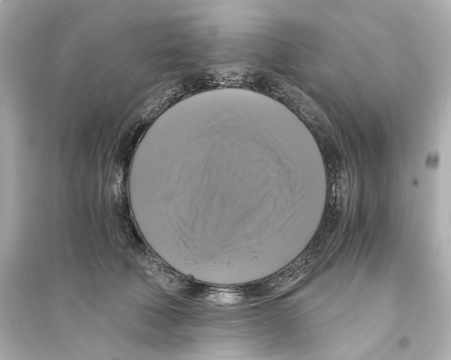 X0000093730610200711131039
