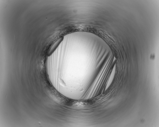 X0000093730611200711131039
