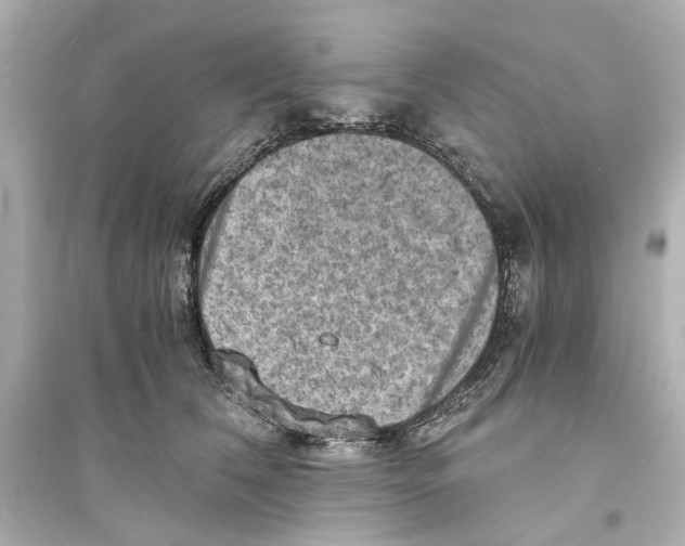 X0000093730612200711131039