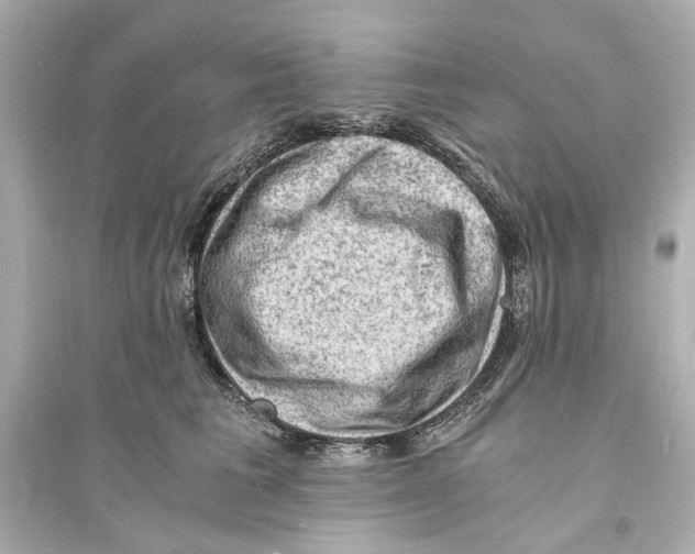 X0000093730613200711131039