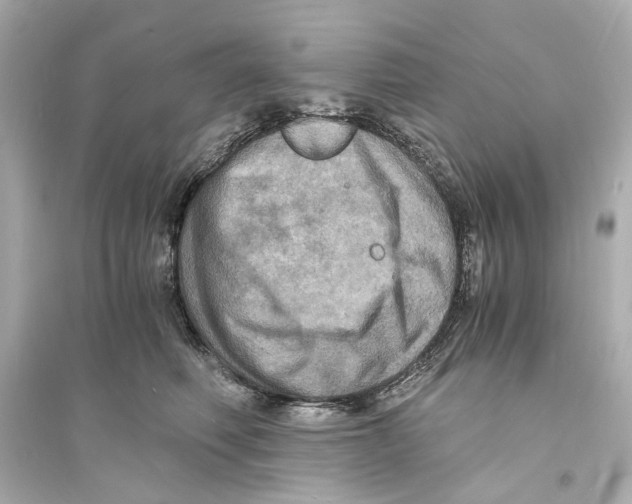 X0000093730614200711131039